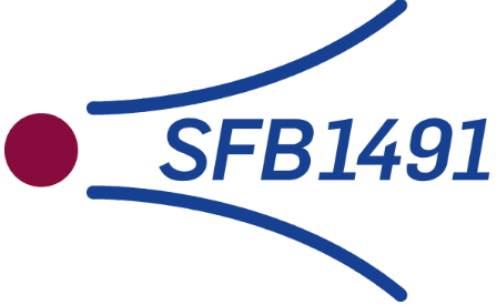 Logo SFB1491 Logo SFB1491