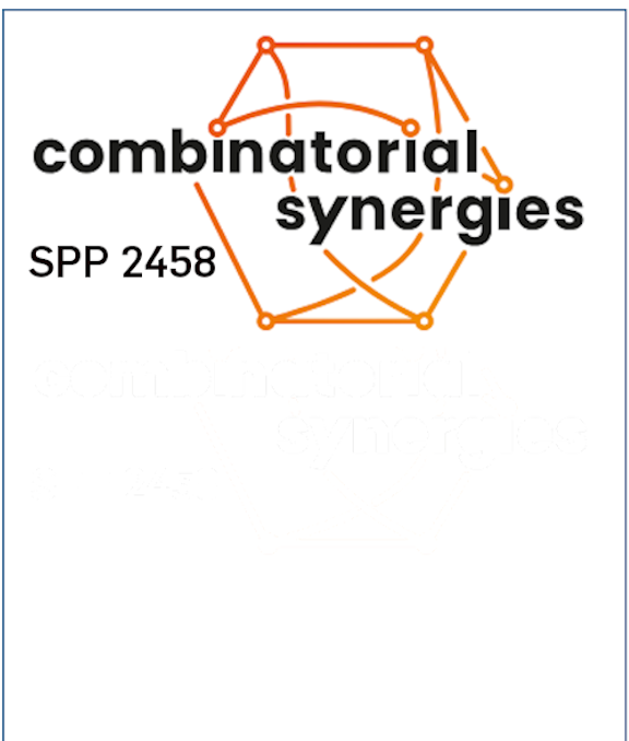 Logo_combinatorial-synergies